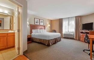 Standard Studio, 1 King Bed, Non Smoking, Refrigerator & Microwave | In-room safe, individually furnished, desk, laptop workspace