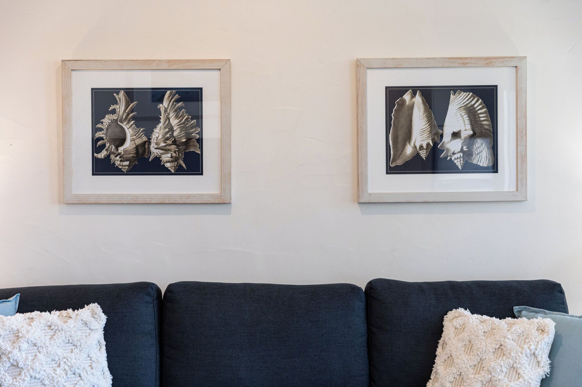 sun coast haven triple share room | living area | flat-screen tv, dvd player