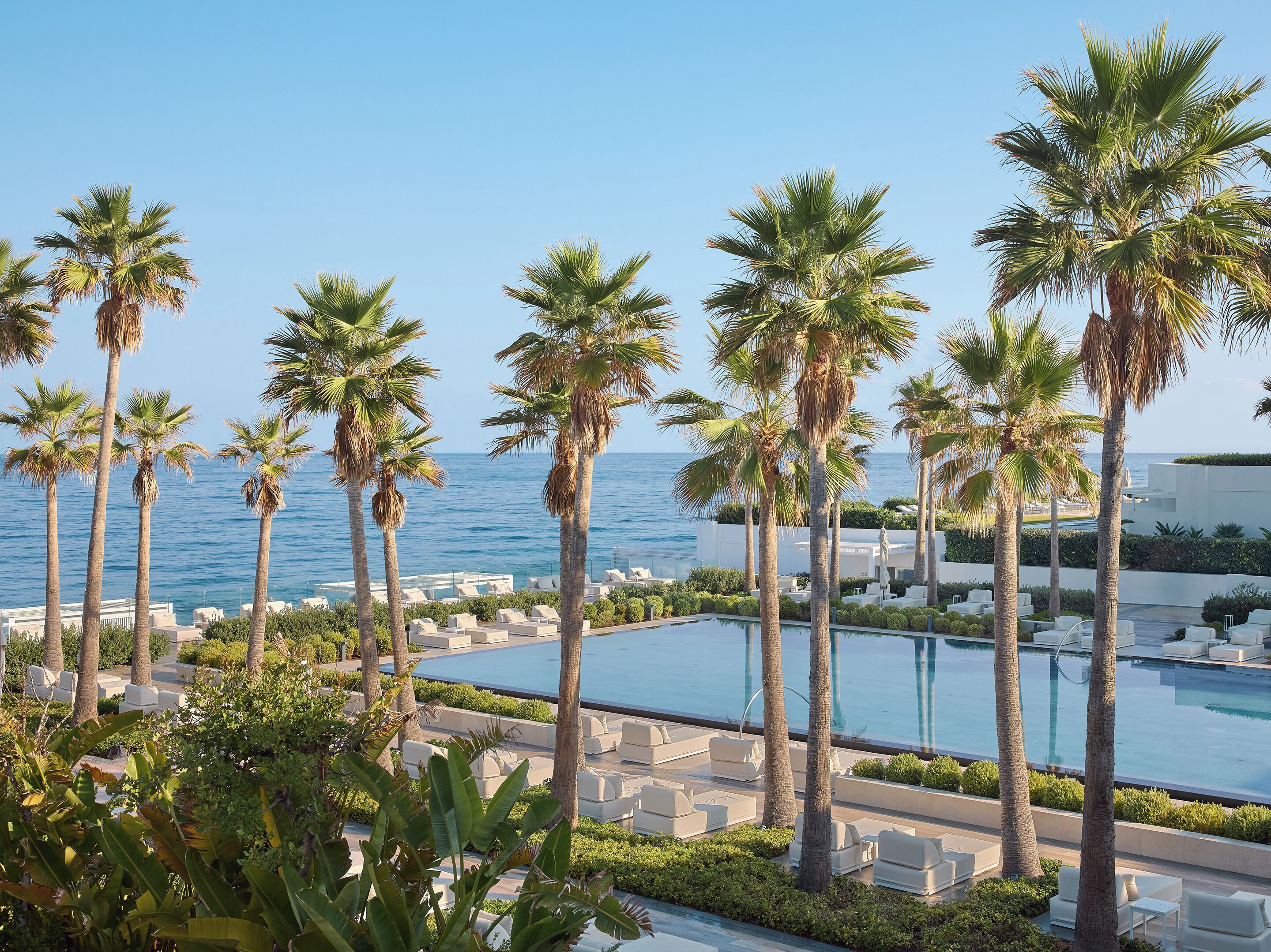 A poolside area with palm trees, lounge chairs, and a view of the ocean.