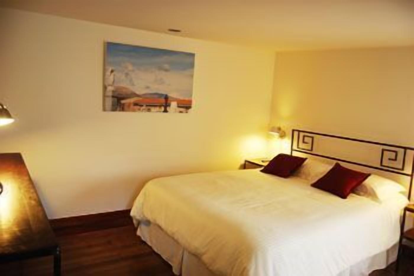 套房, 1 张大床和 1 张沙发床, 露台