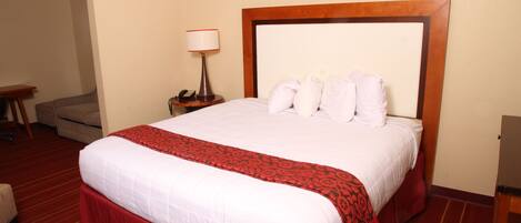 A hotel room with a large bed, a bedside table with a lamp, and a chair.