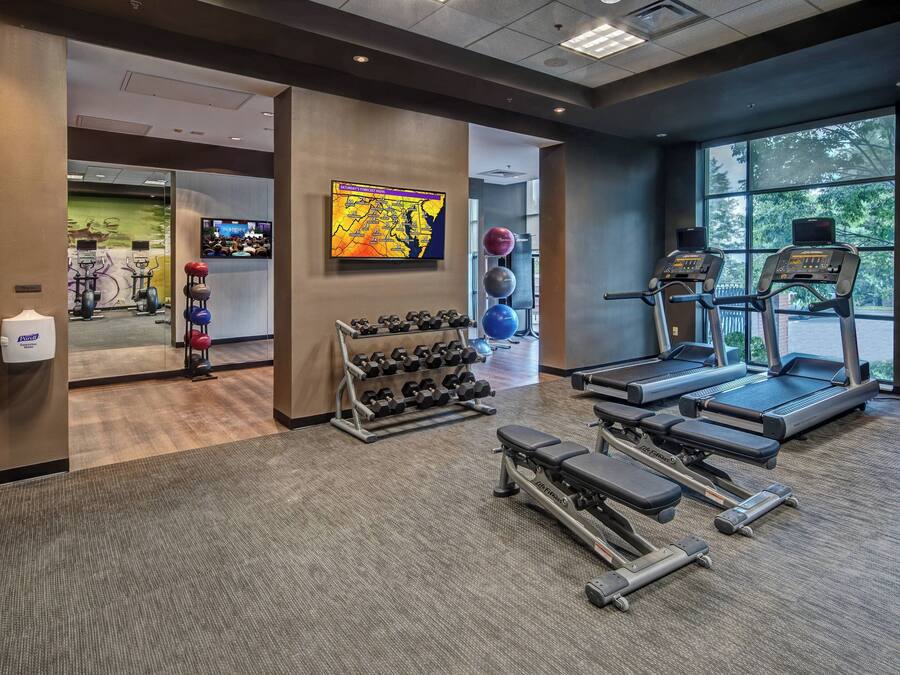 A gym with treadmills, dumbbells, and exercise balls.