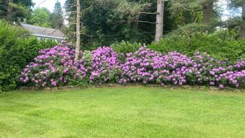 A garden with a row of purple flowers and a stone wall.