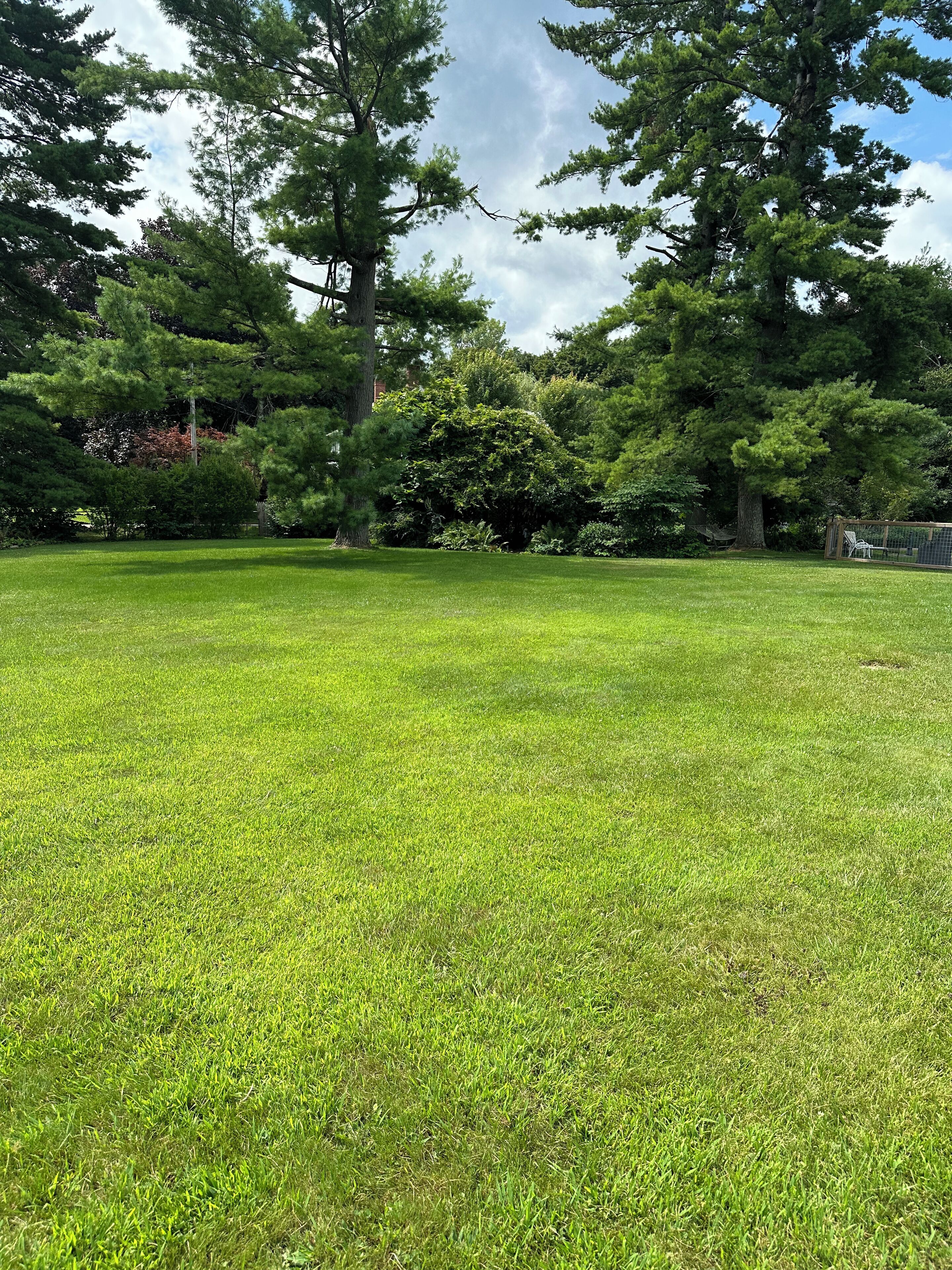A grassy field with trees and a fence.
