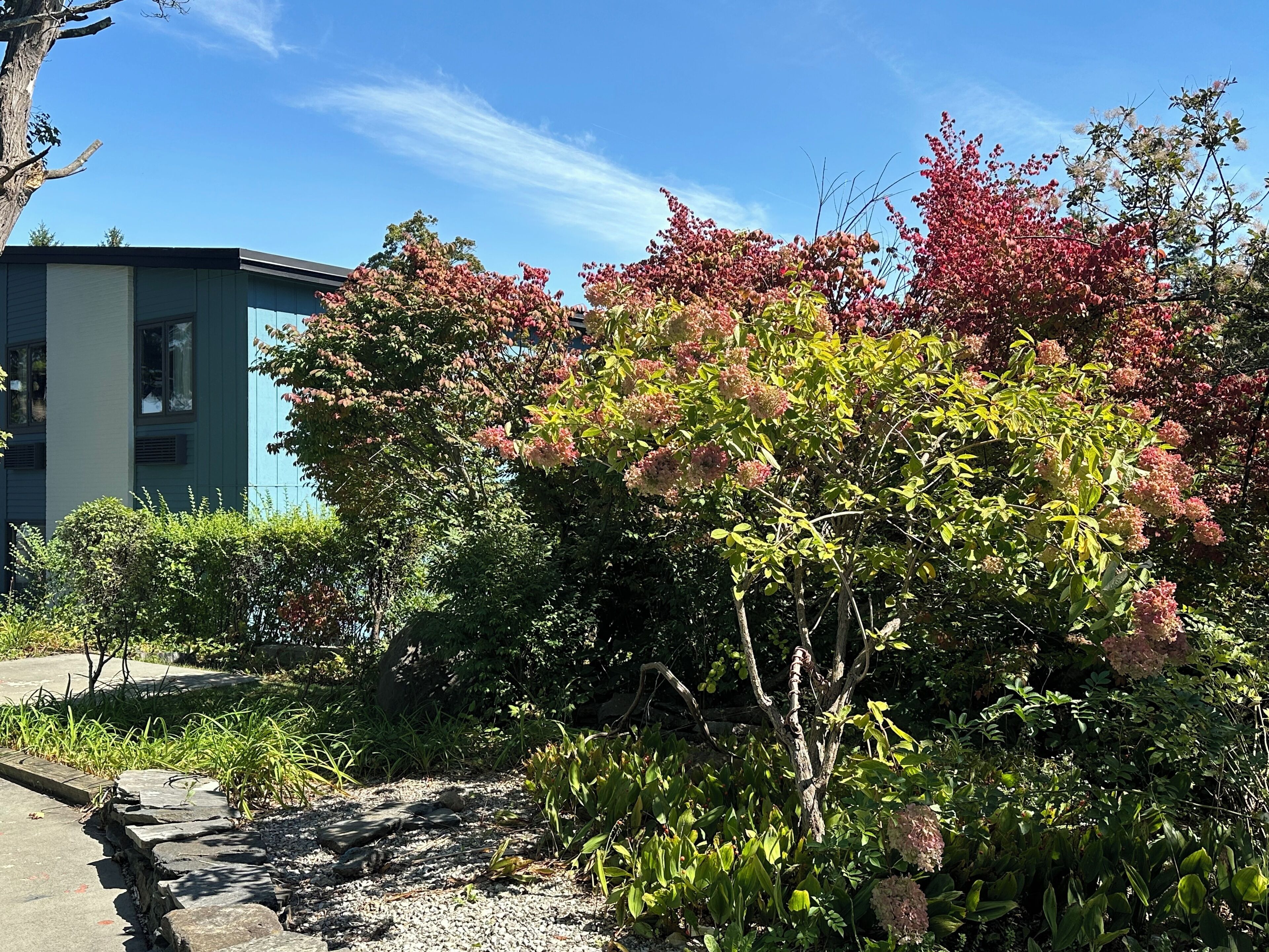 Jardín