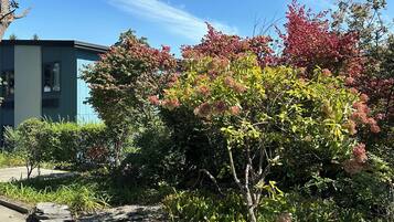 Jardín