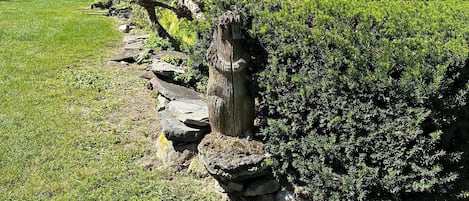 Trädgård