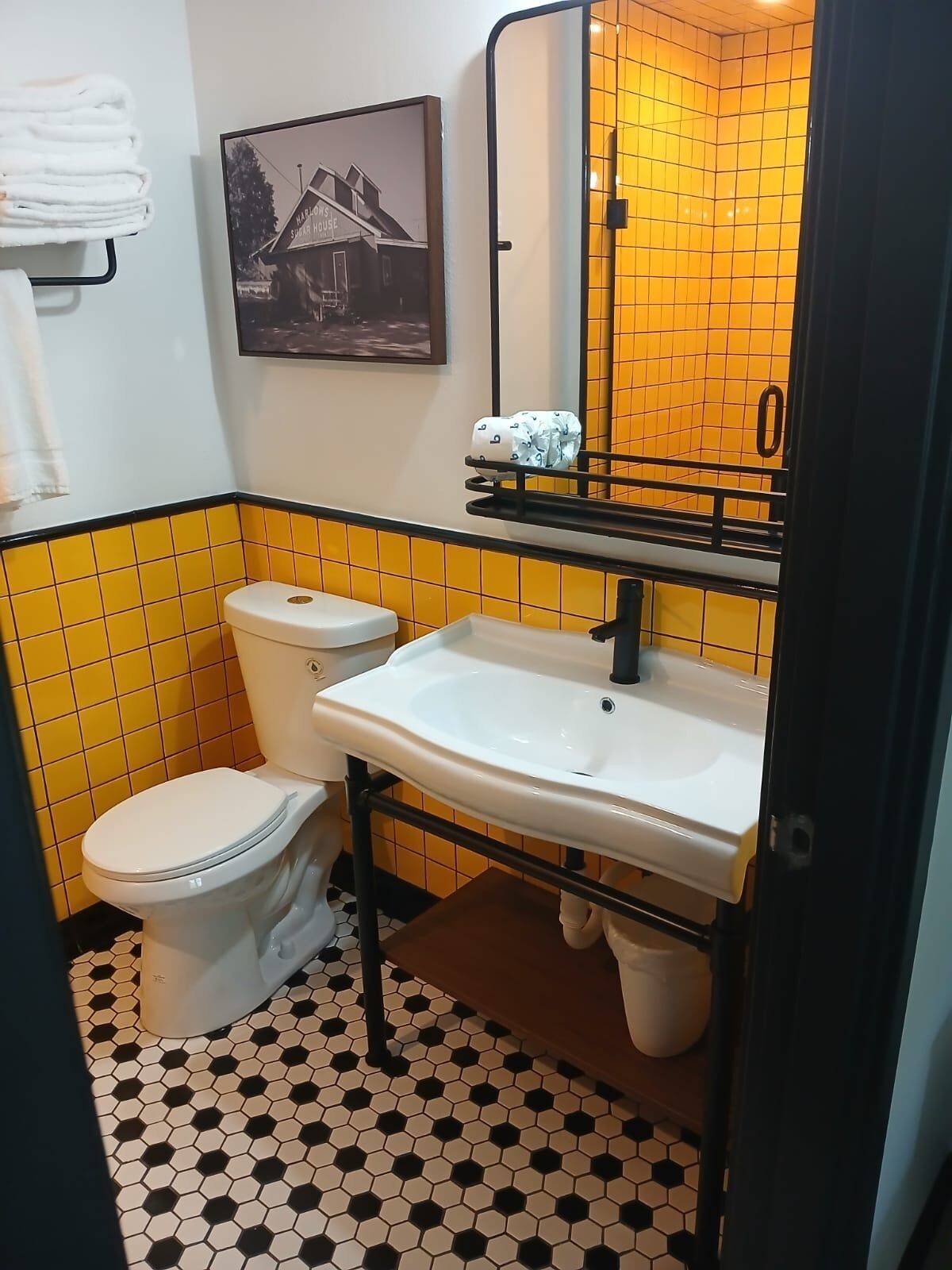 A bathroom with a toilet, sink, and a mirror. There is a towel rack with towels and a framed picture on the wall.