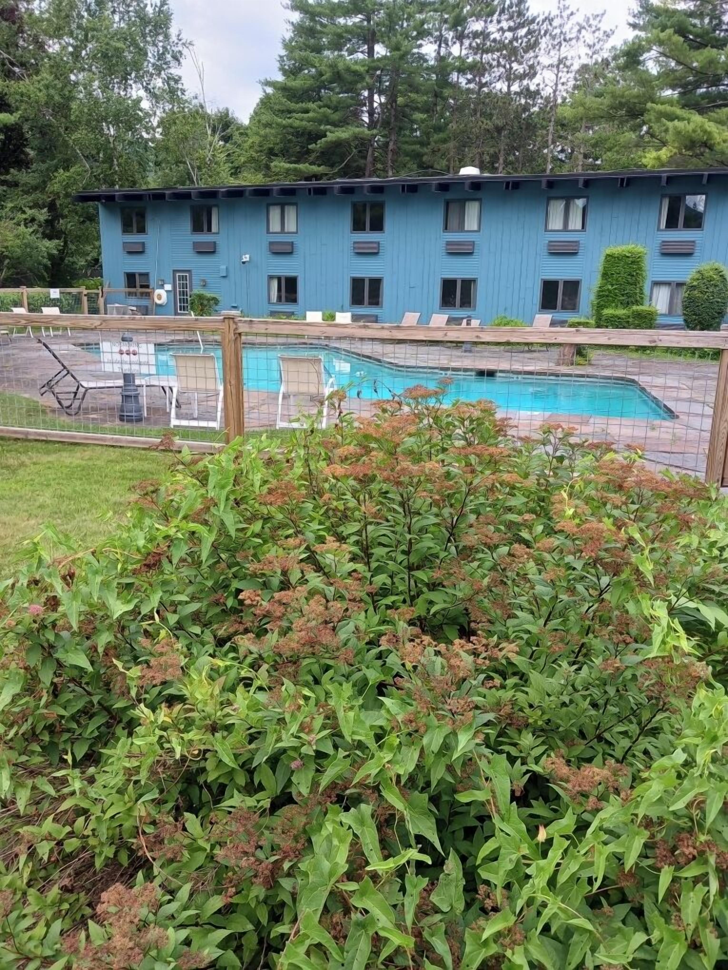 A blue building with a swimming pool, surrounded by greenery and trees.