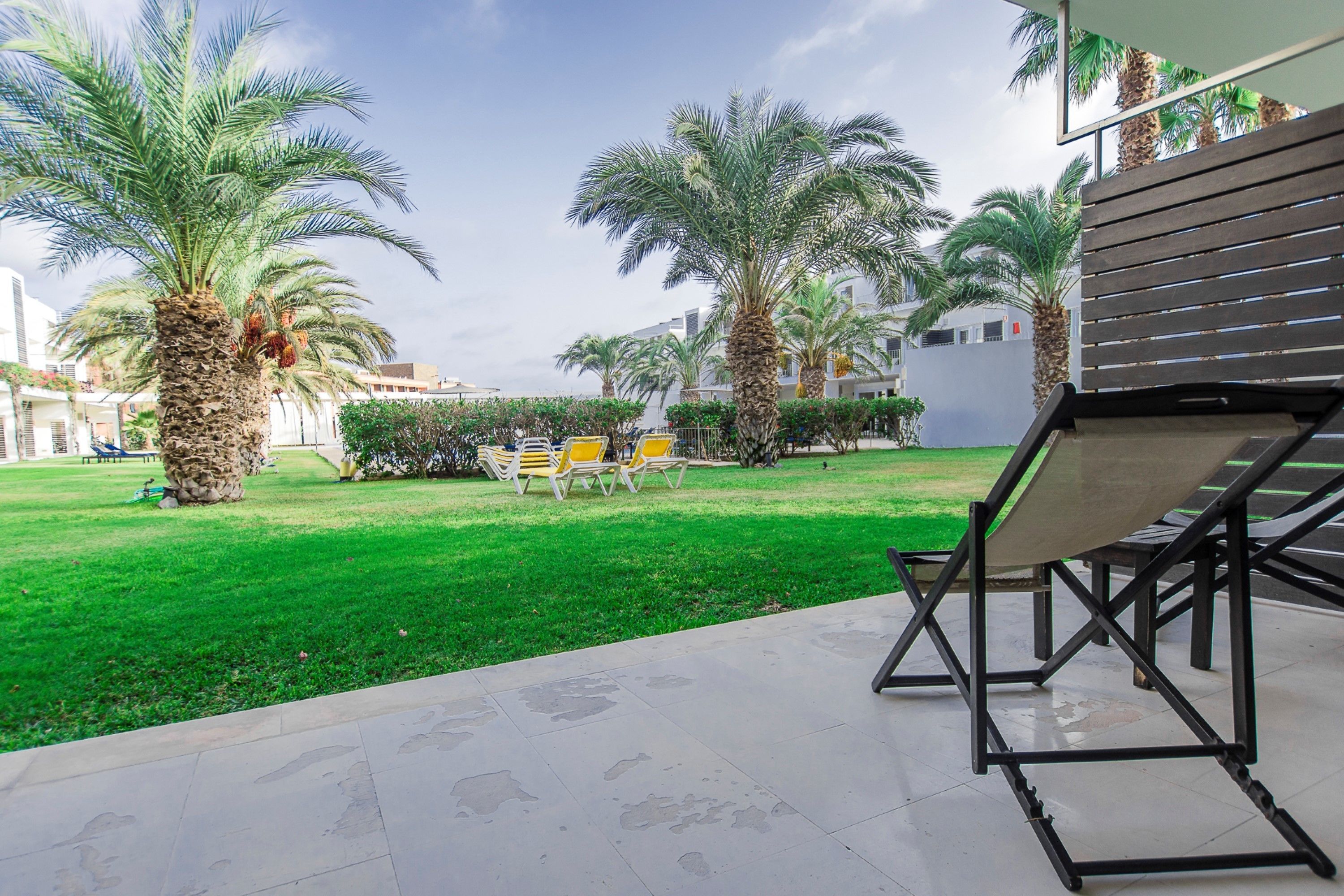 A courtyard with palm trees, outdoor seating, and a building in the background.