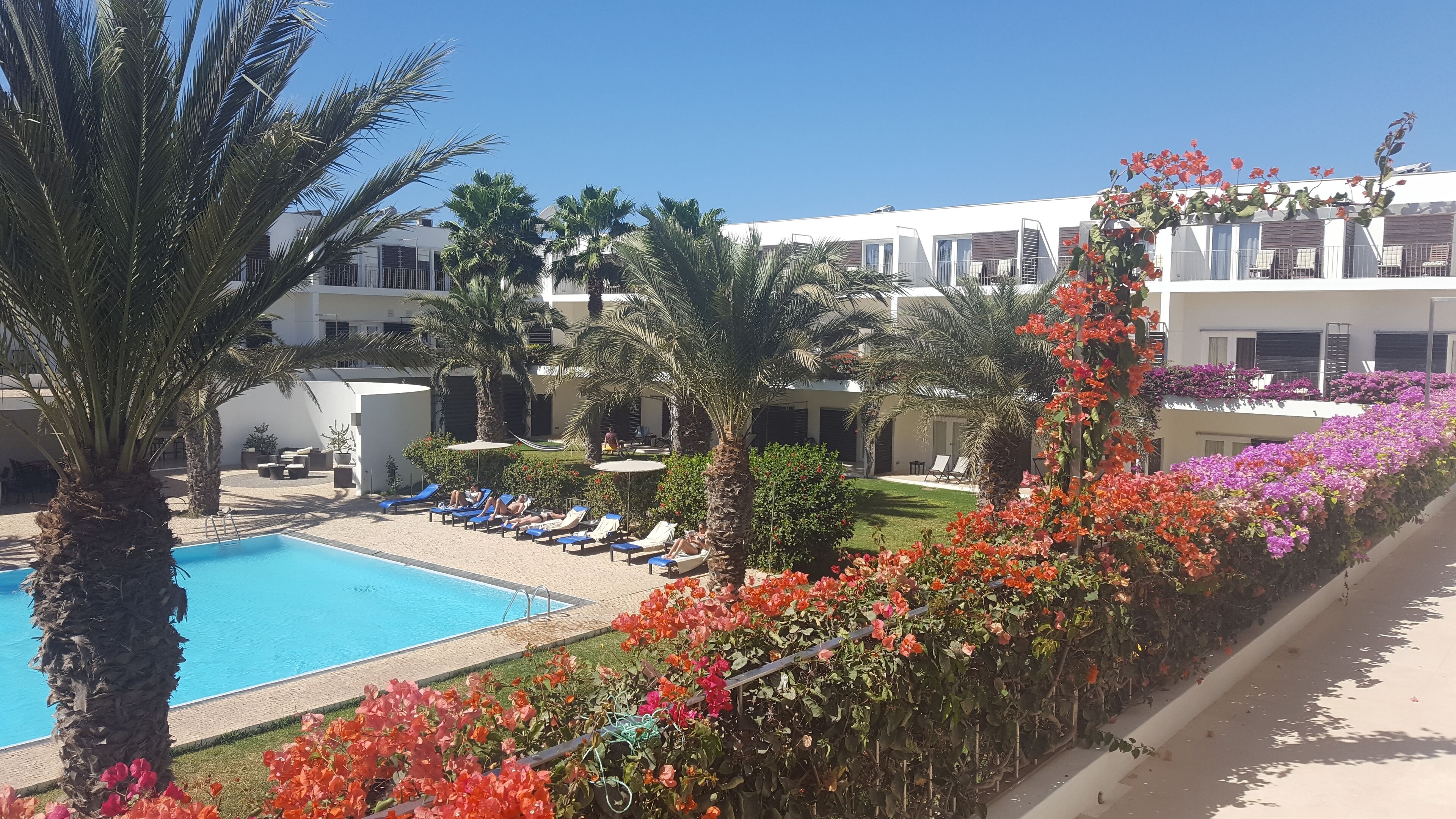 Zona de piscina con sillas de descanso, palmeras y un edificio con varias ventanas y balcones.