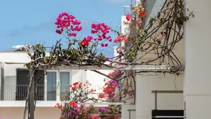 A pathway lined with vibrant flowers and a building with black shutters. - Hotel Dunas de Sal (Sal)