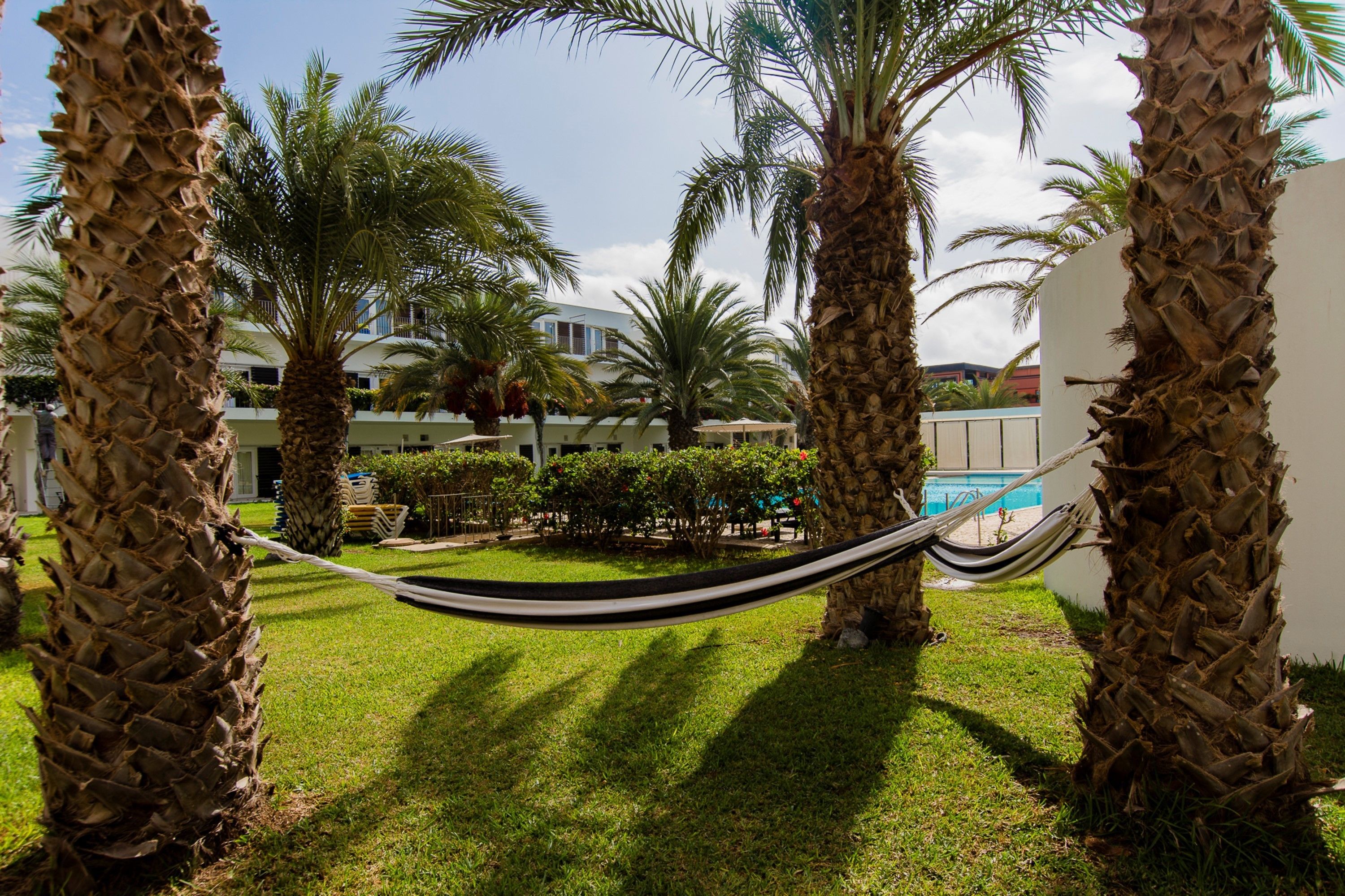 A hammock between palm trees in a well-maintained garden area with a pool in the background.