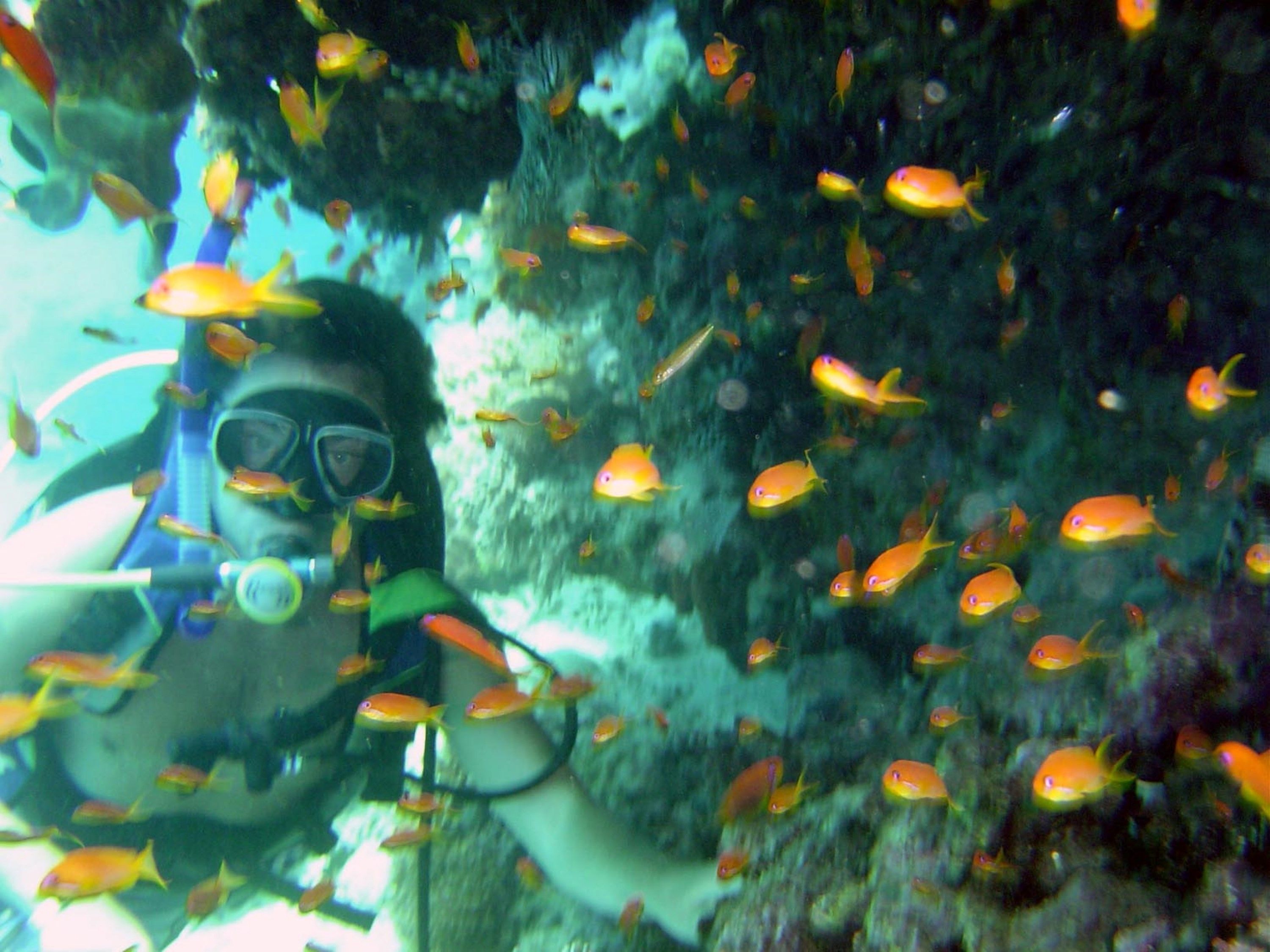 Photo - Hotel Dunas de Sal