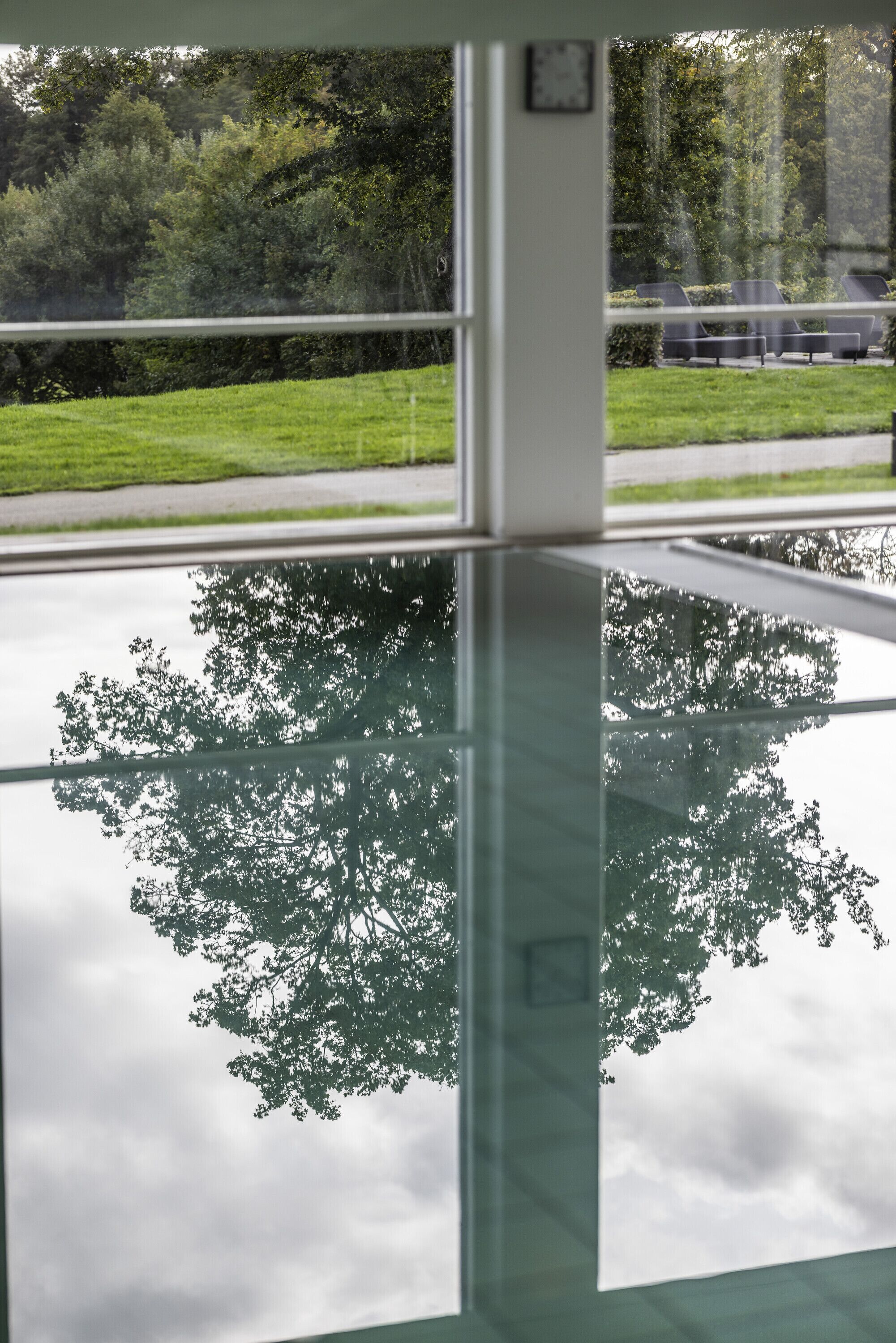 Una mesa de vidrio que refleja un árbol y un césped.