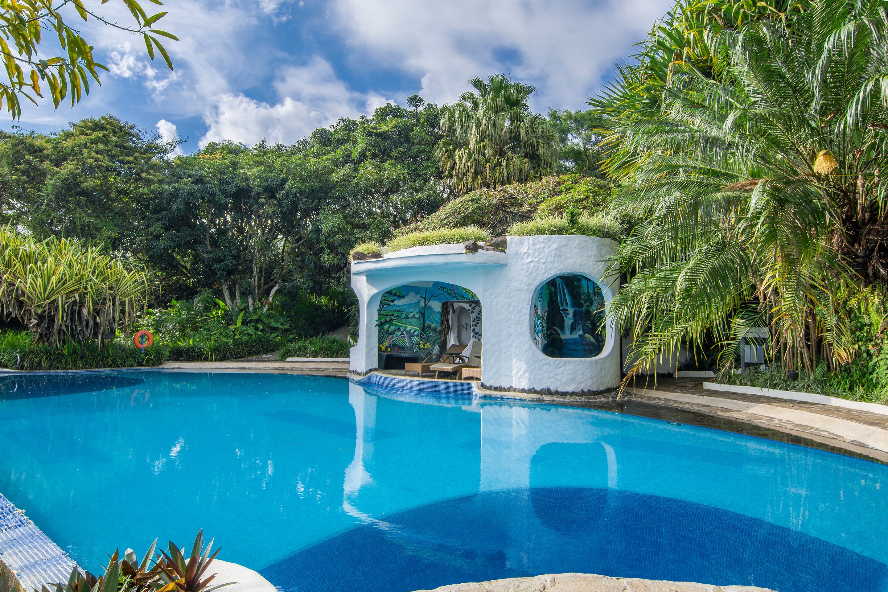 Outdoor pool, sun loungers