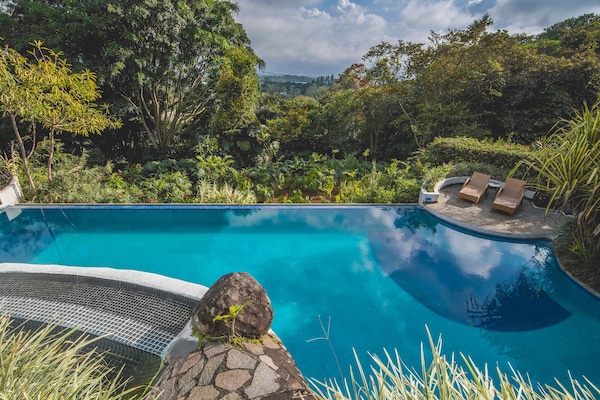 Outdoor pool, pool loungers