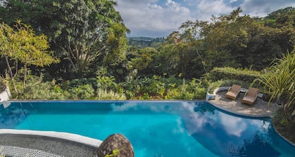 Finca Rosa Blanca Coffee Farm and Inn