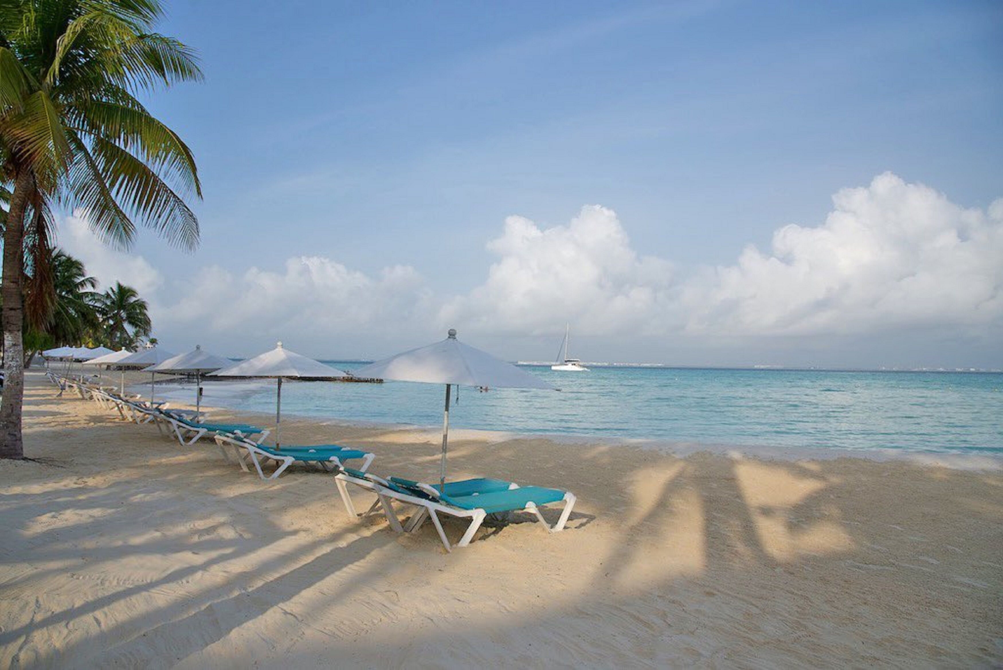 A beach with white lounge chairs and umbrellas, palm trees, and a clear sky.