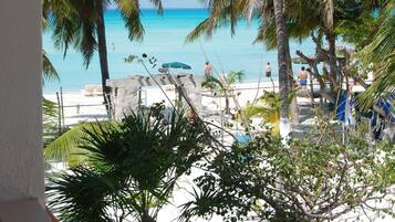 Vista desde la propiedad