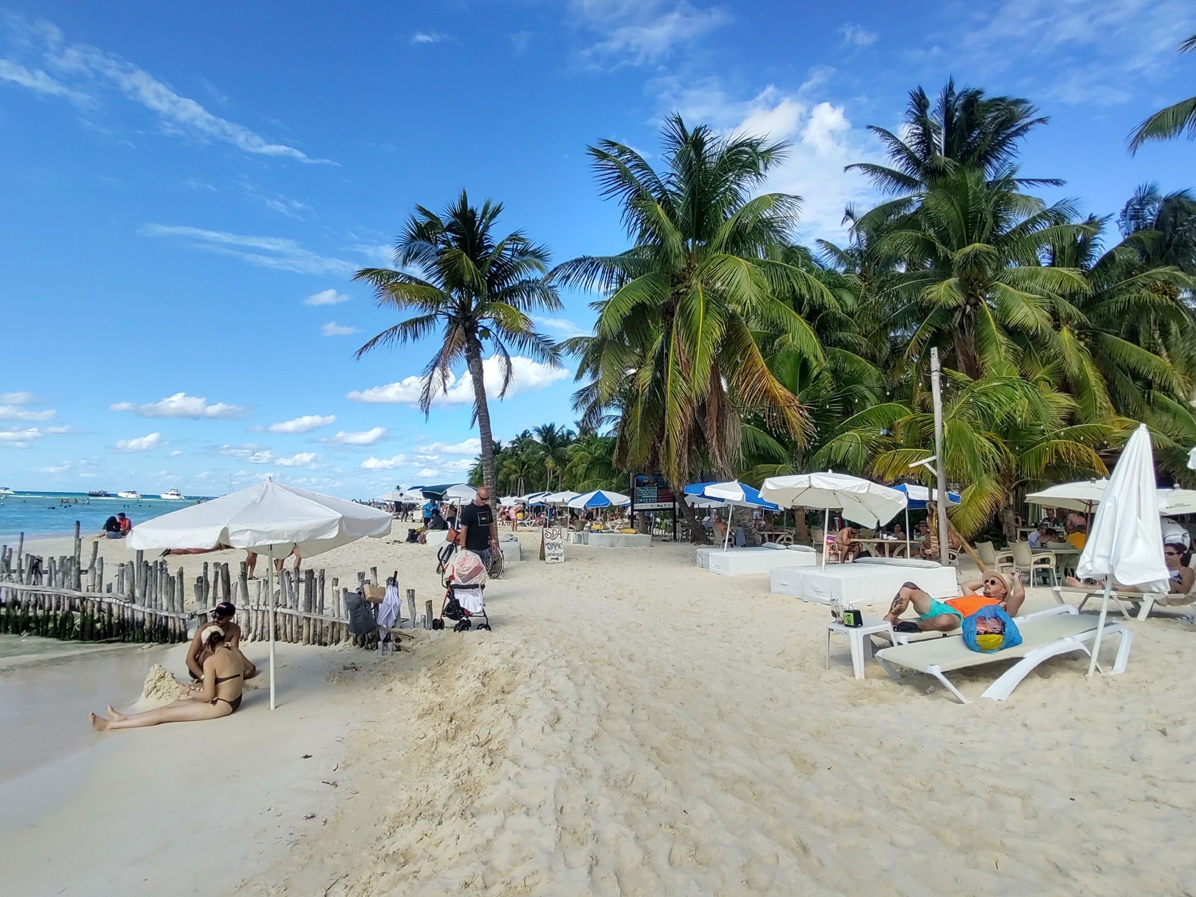 A beach with palm trees, beach umbrellas, and people relaxing.