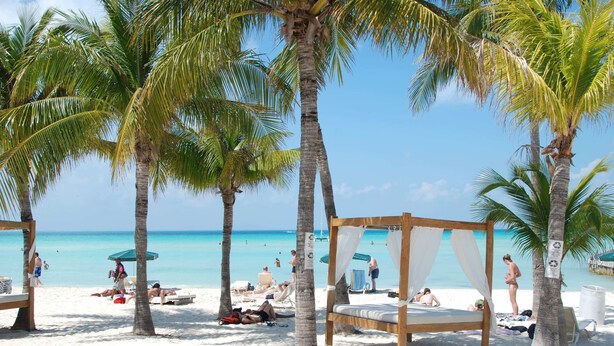 Una playa con palmeras, una cama de madera y una silla de playa.