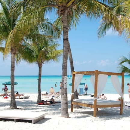 A beach with palm trees, a wooden bed, and a beach chair.
