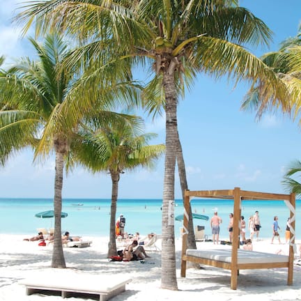 A beach with palm trees, sun loungers, and a clear blue sky.