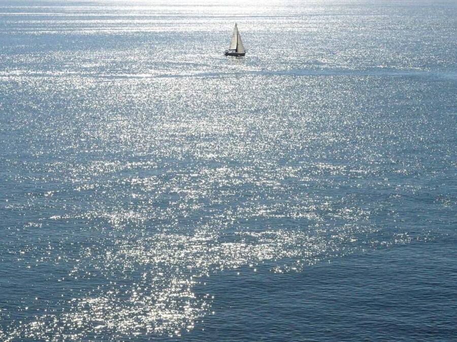 Un velero en un mar tranquilo con horizonte despejado.