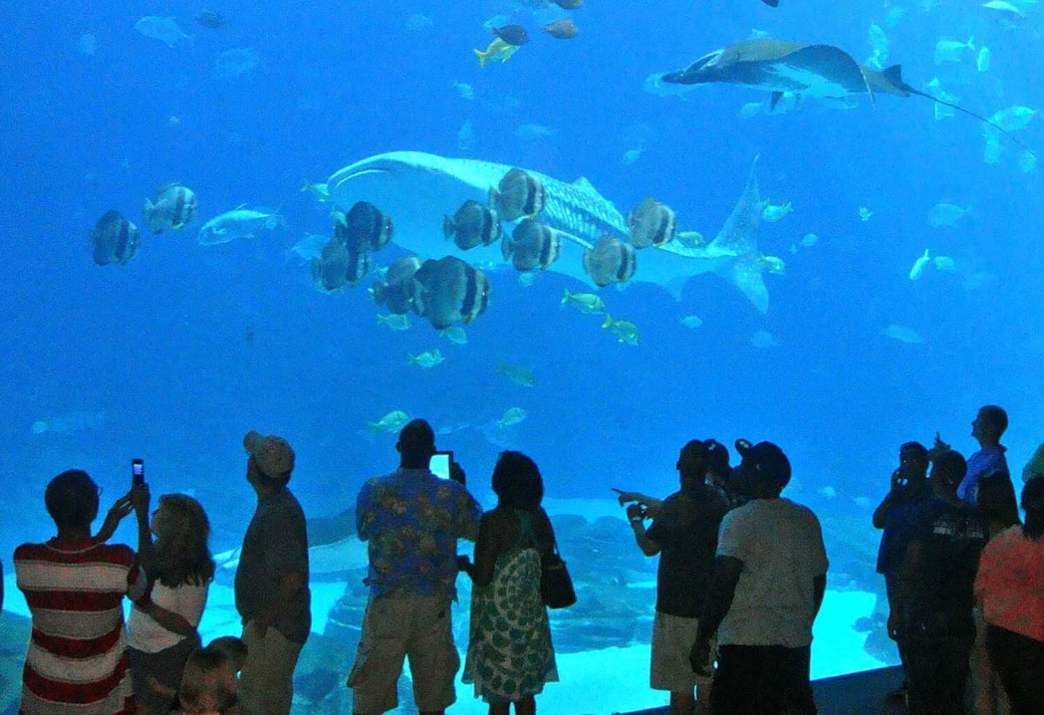 Foto - Arrayanes Playa Almuñecar