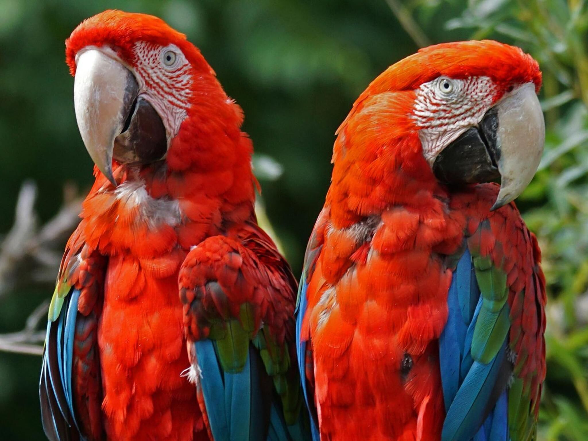 Foto - Arrayanes Playa Almuñecar