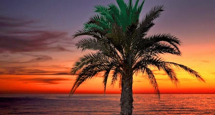 Arrayanes Playa Hotel