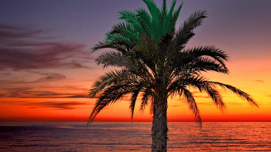 Arrayanes Playa Hotel