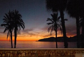 A sunset view with palm trees and a stone wall.