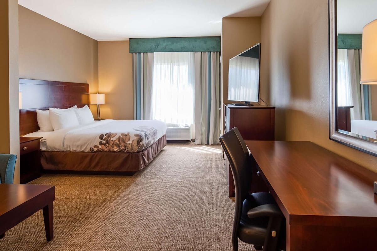 A hotel room with a bed, a desk, a chair, a TV, and a mirror.