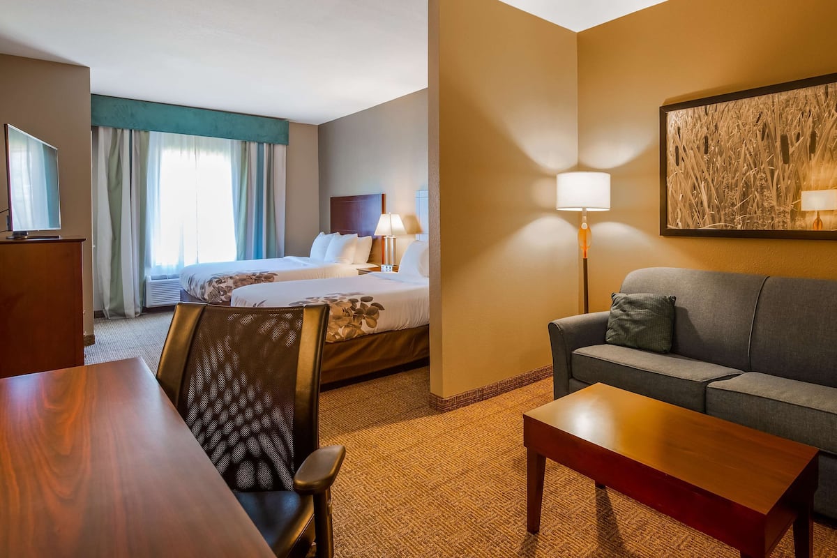 A hotel room with a bed, a sofa, a desk, and a lamp.