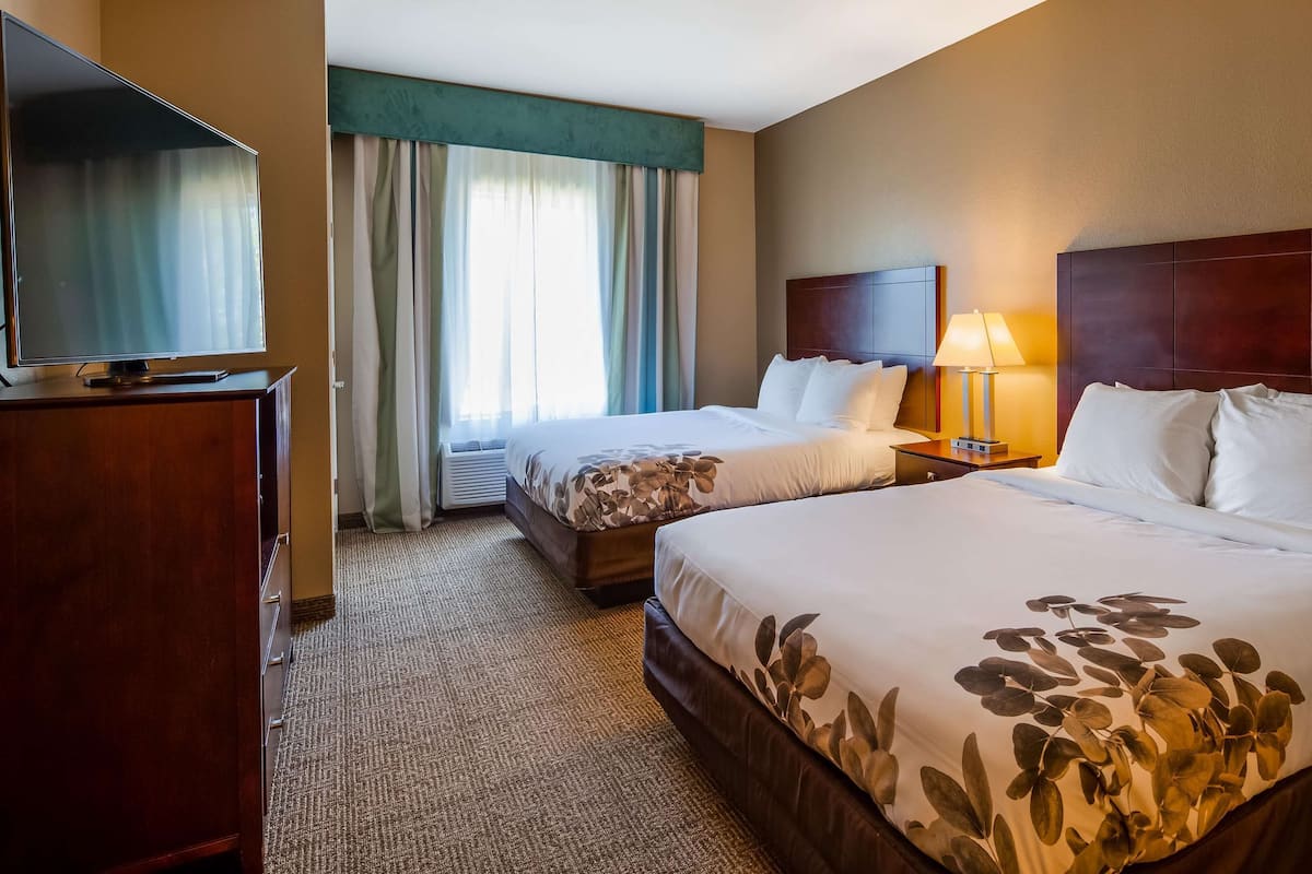 A hotel room with two beds, a TV, a desk, and a lamp.