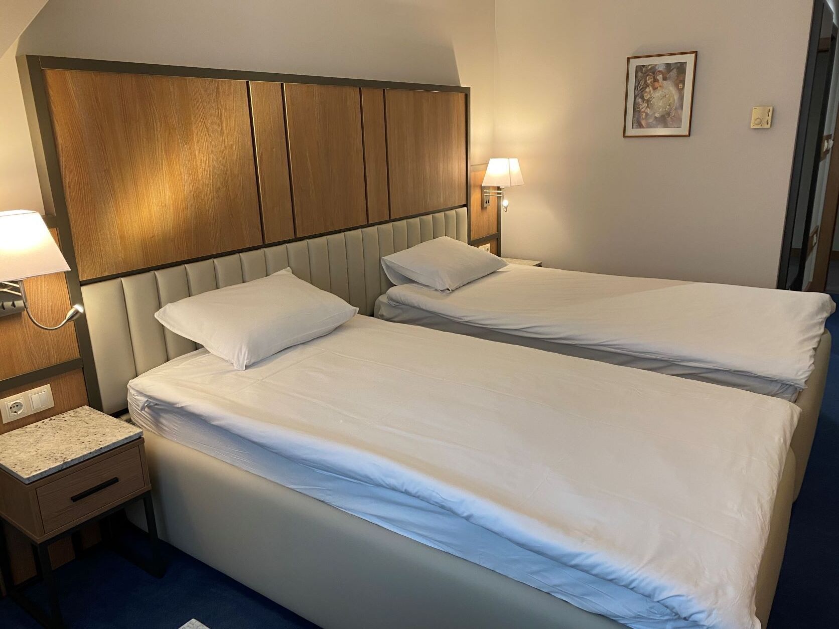 standard double or twin room | 1 bedroom, in-room safe, desk, laptop workspace