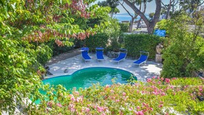 A swimming pool with blue lounge chairs, surrounded by lush greenery and pink flowers. - Albergo Terme Italia (Casamicciola Terme)