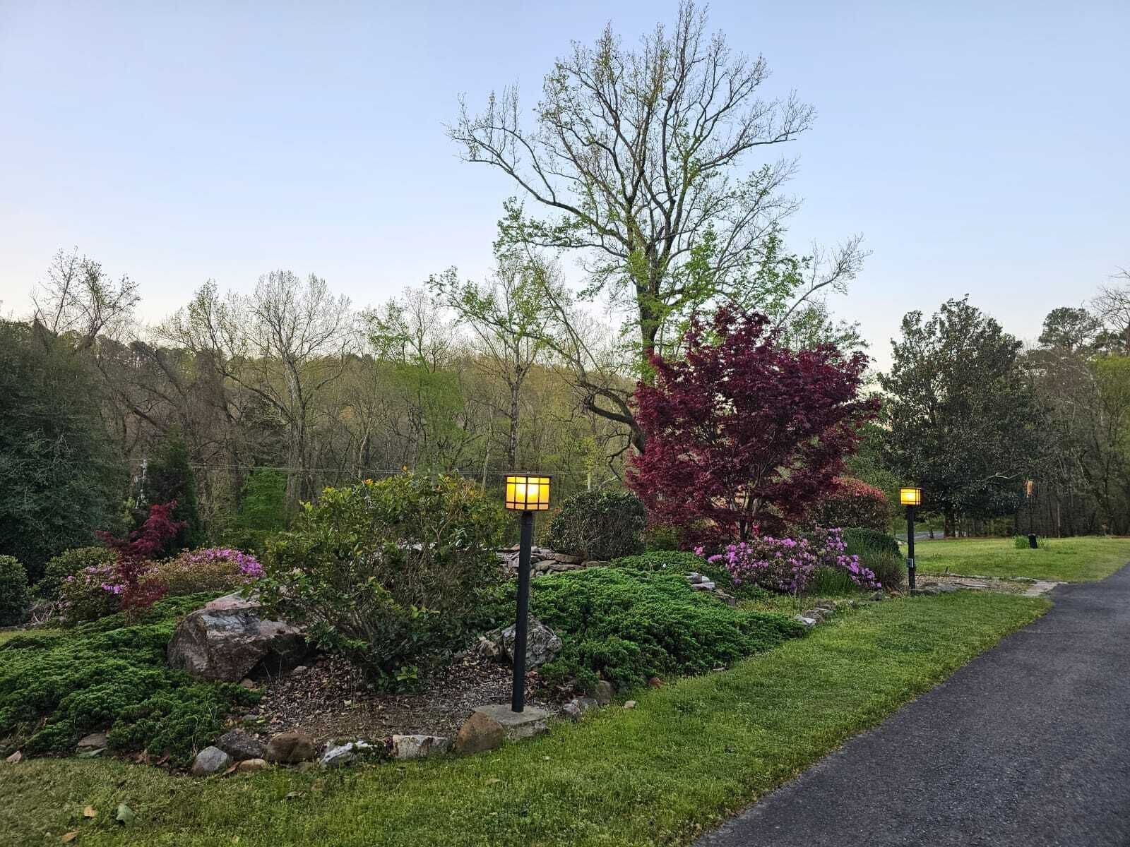 A landscaped garden with pathways, a variety of shrubs, and trees.