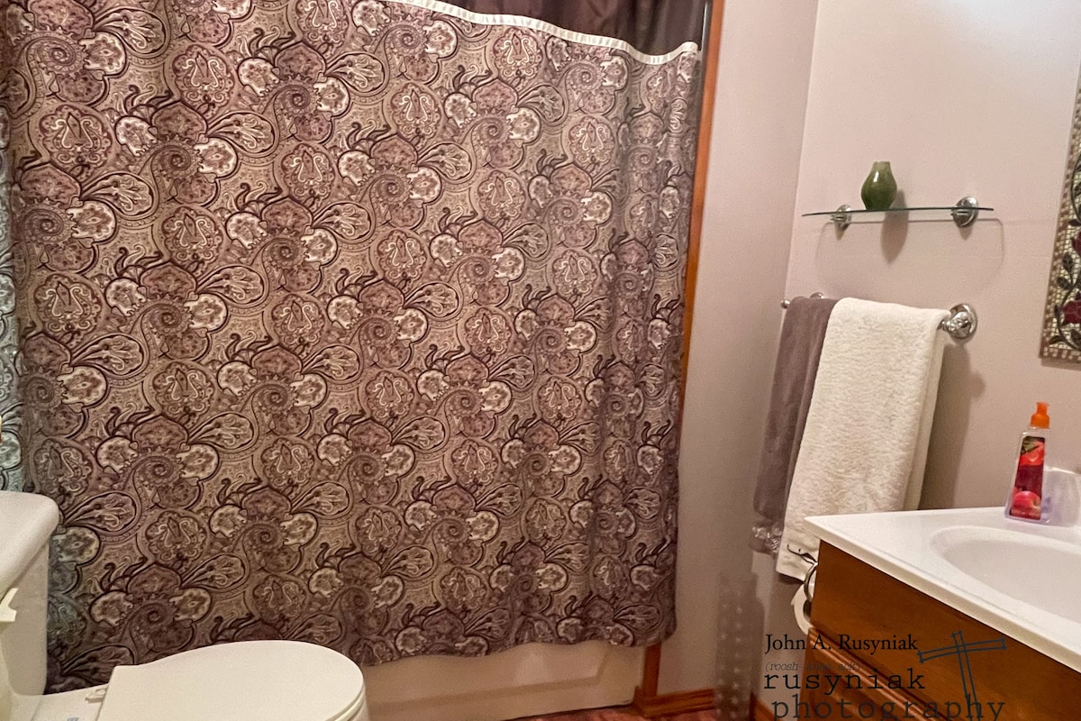 A bathroom with a patterned shower curtain, a toilet, a sink with a bottle of soap, and a towel hanging on a rack.
