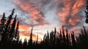 A forest with tall trees silhouetted against a colorful sky. - A Hyde Away Inn B&B (Tok)