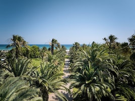 Jardín