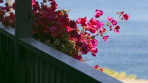 A balcony with a railing and a view of the ocean. - Scripps Inn La Jolla Cove (La Jolla)