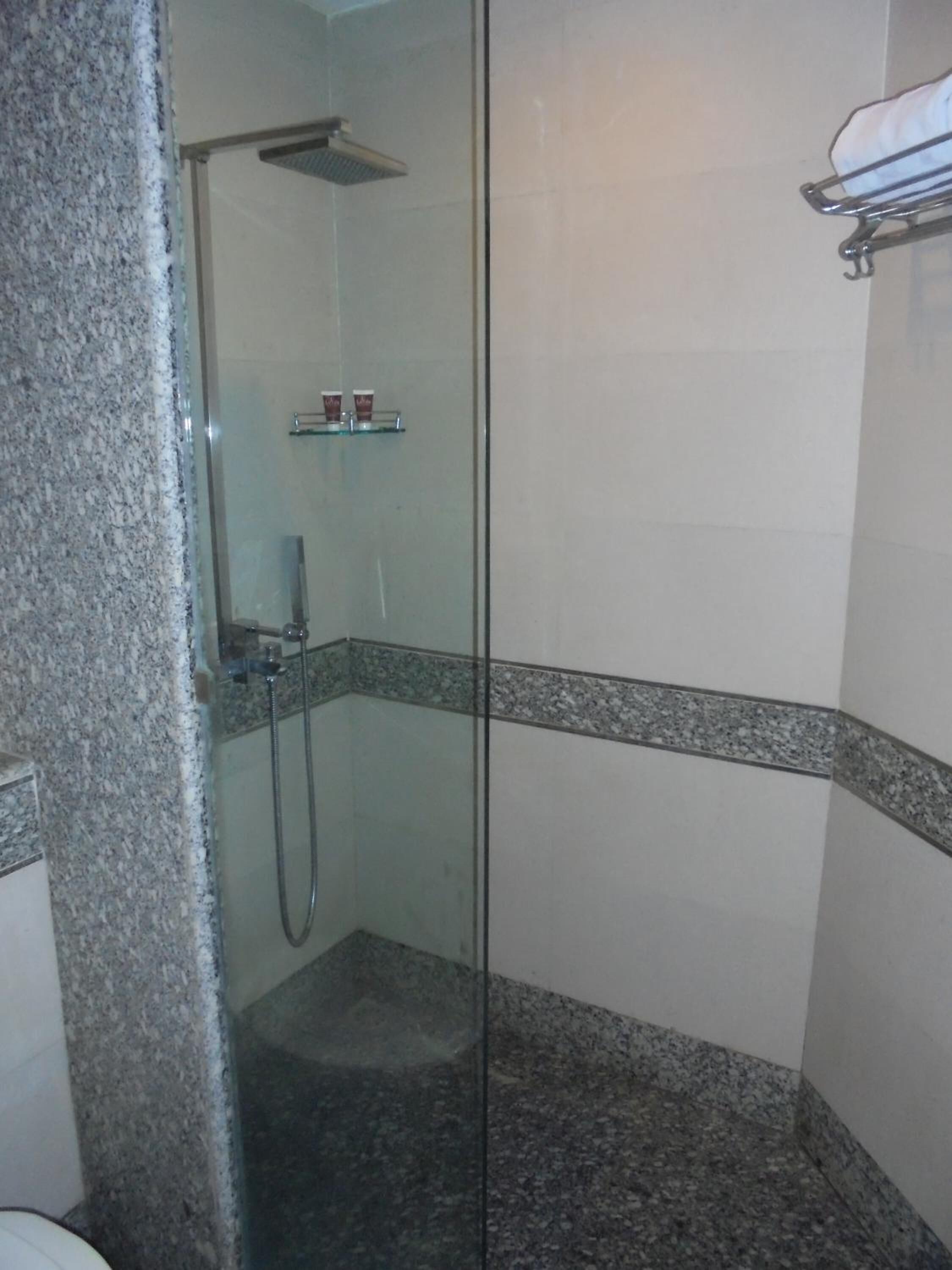 Zona de ducha con paredes de vidrio, cabezal de ducha, ducha de mano y estante de vidrio con artículos de tocador.