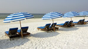 A beach with rows of sun loungers and striped umbrellas. - Admirals Quarters by Wyndham Vacation Rentals (Orange Beach)