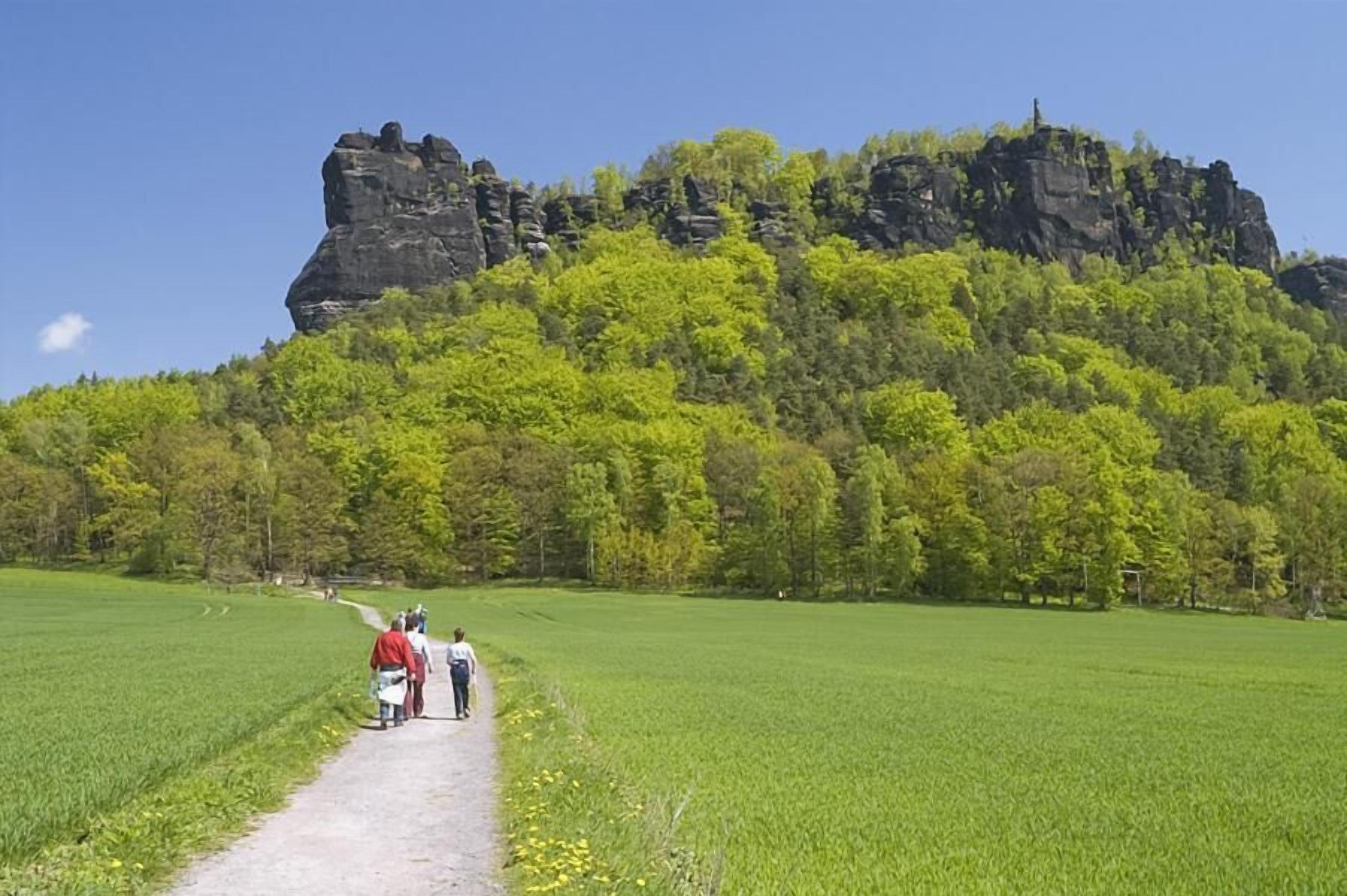 A pathway leading to a rocky hill with dense green trees.