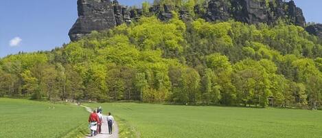 Un sentiero conduce a un pendio roccioso, costellato da alberi verdi e fitti.