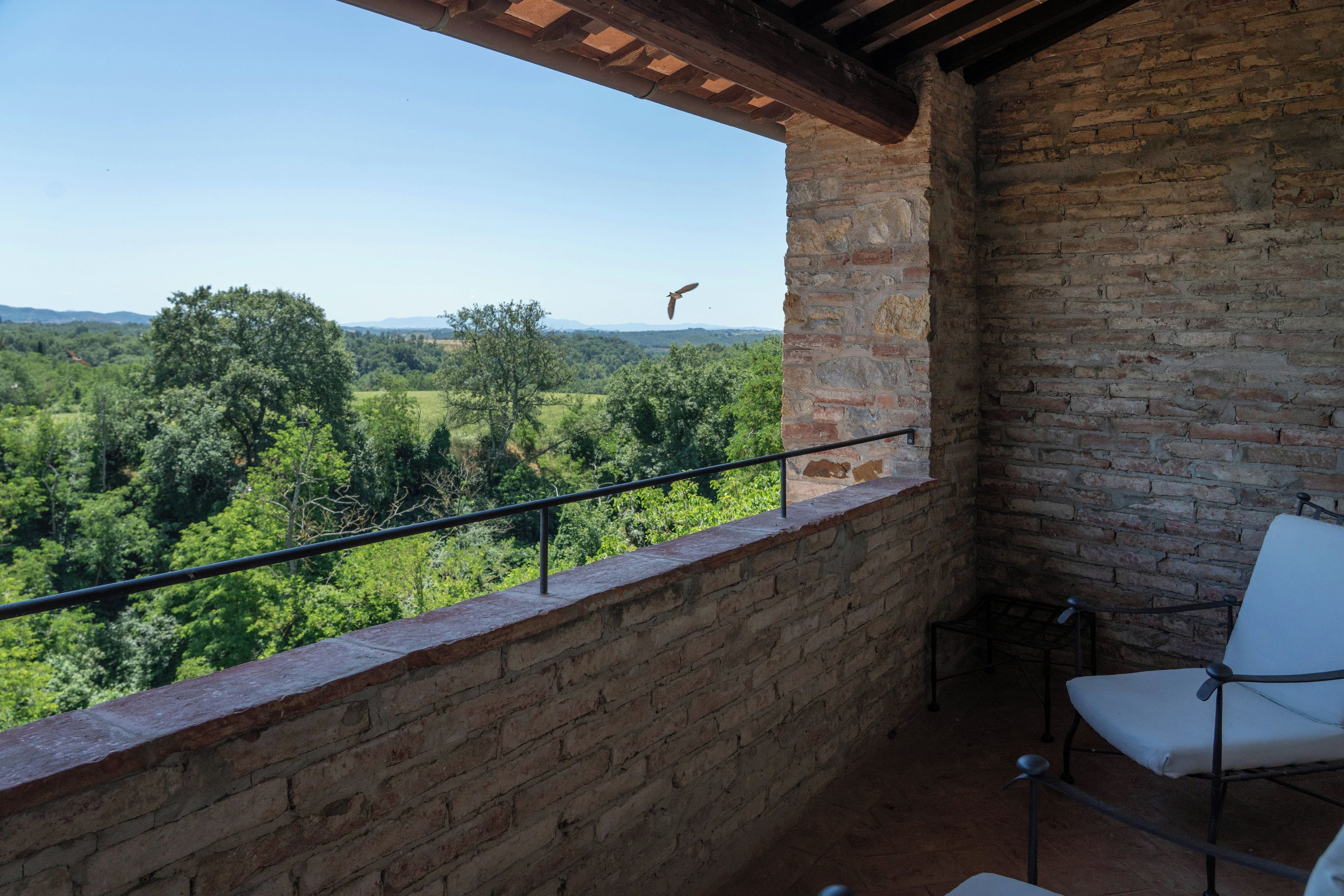 Un balcon donnant sur un paysage verdoyant, avec un oiseau en plein vol.