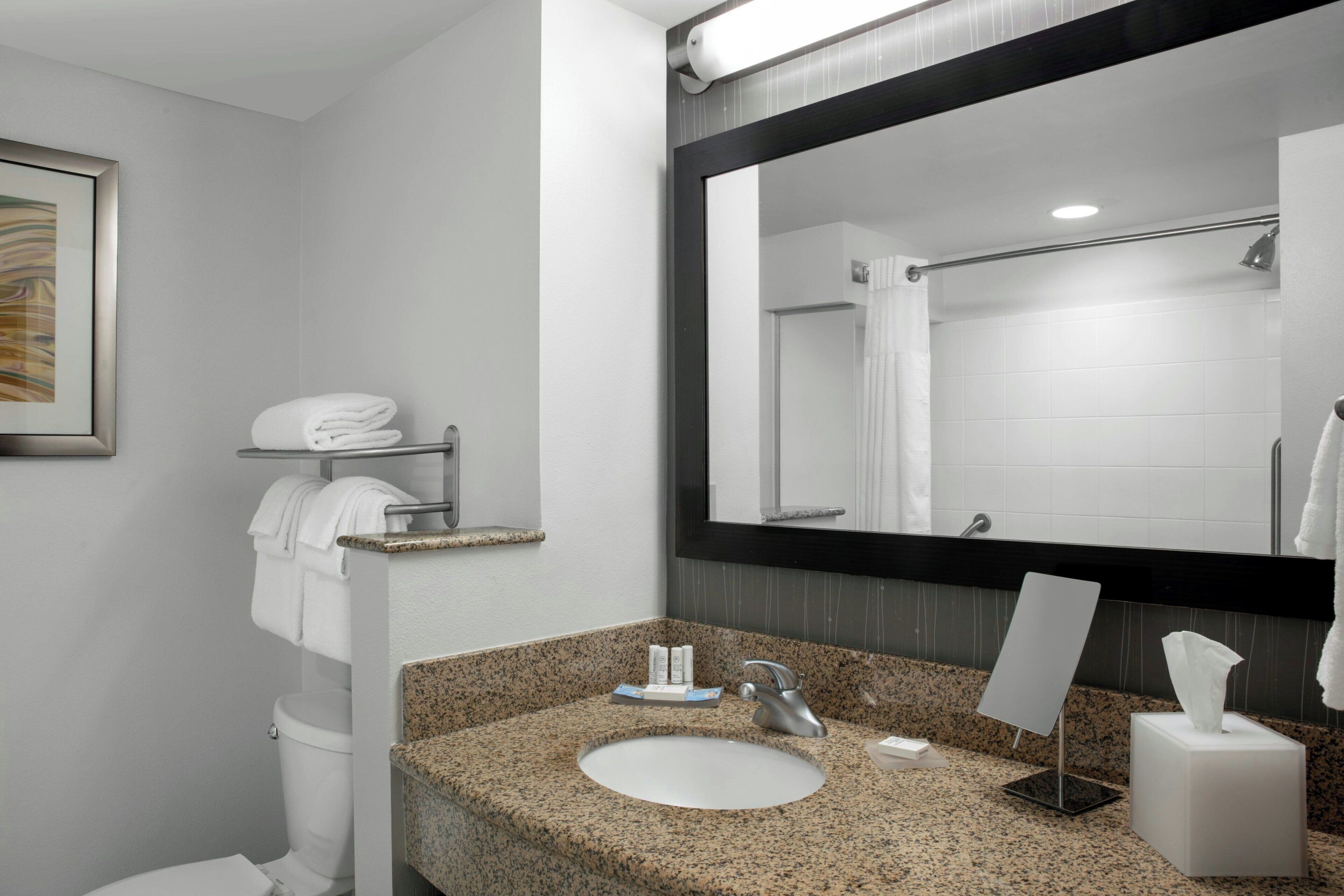 A bathroom with a granite countertop sink, a large mirror, a towel rack, and a toilet.